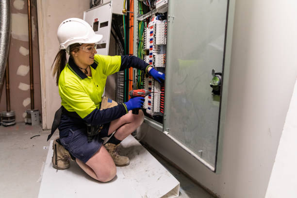 Best Electric Panel Repair  in Midlothian, IL
